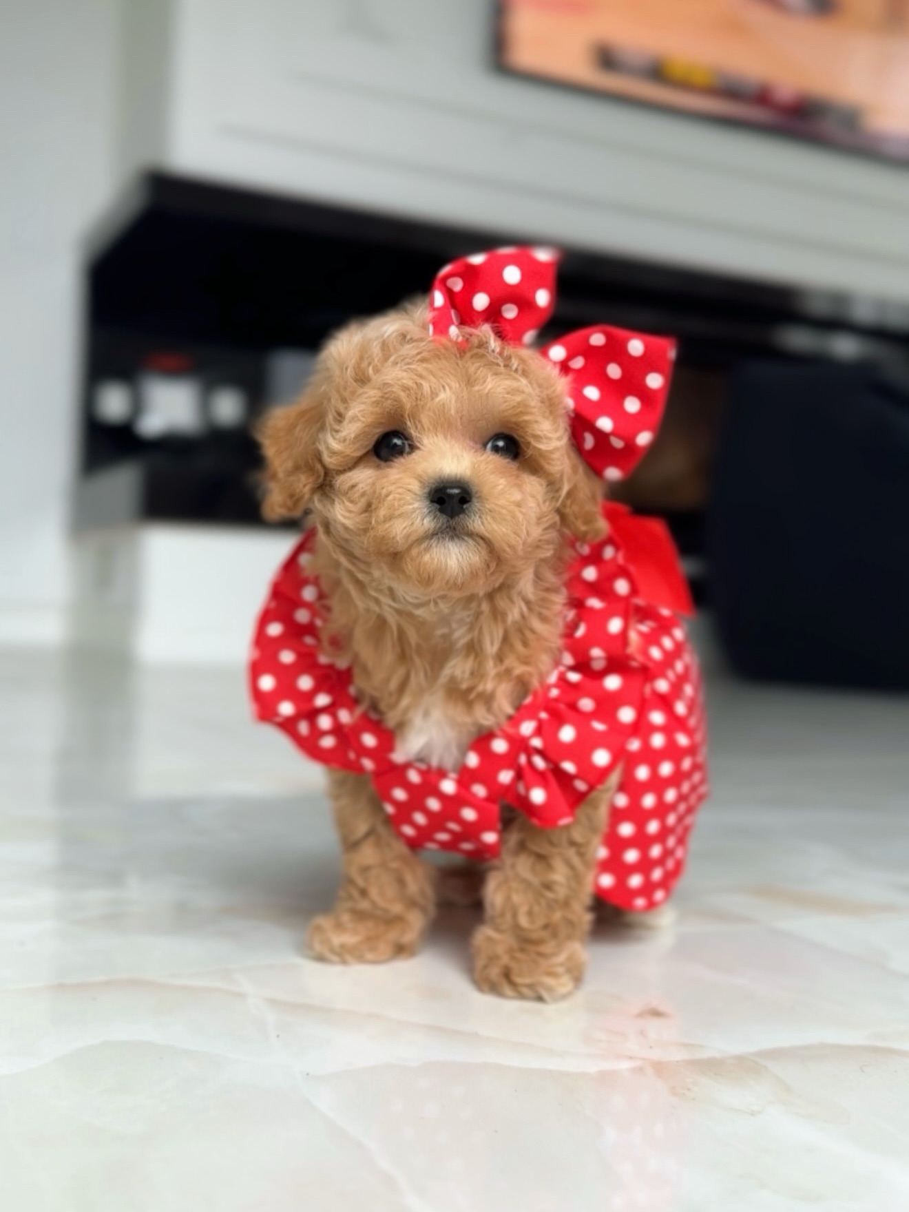 Lisa facing the camera in her red polka-dot outfit