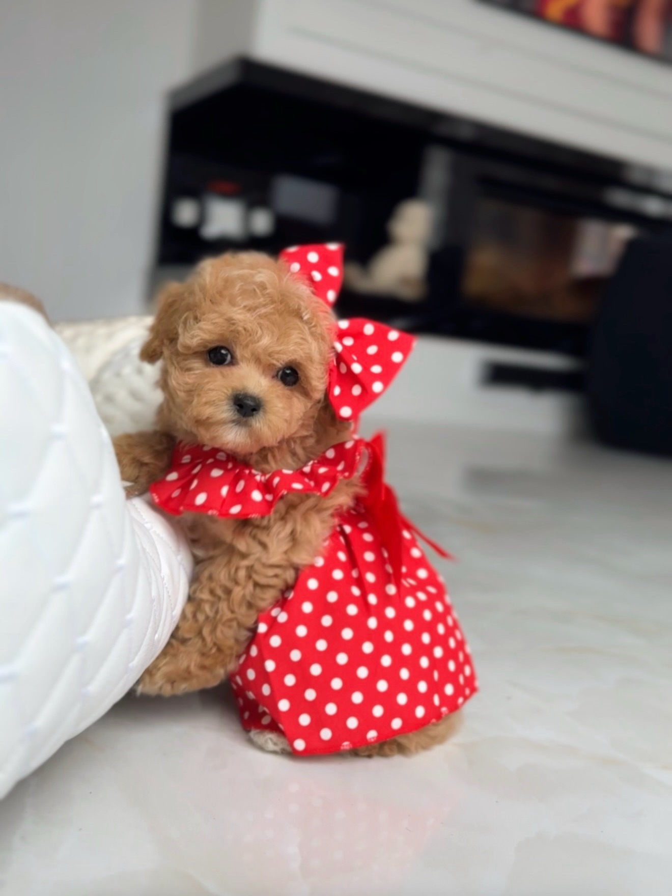 Lisa beside a white cushion wearing a red polka-dot dress